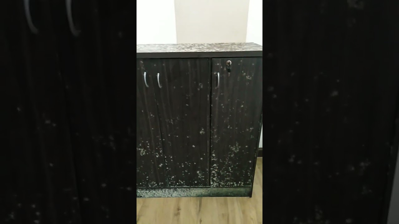 HOW TO GET RID OF MOLDS? PLS HELP #MaybirdBax #youtubeshorts #shorts