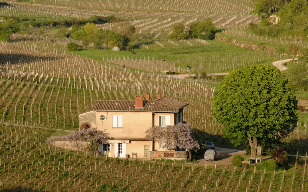 La maison bordelaise : élégance et douceur de vivre