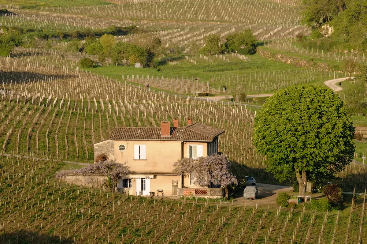 La maison bordelaise : élégance et douceur de vivre
